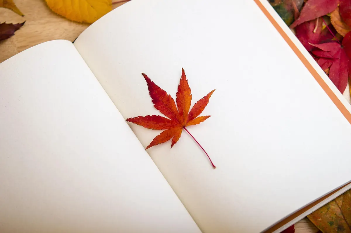 How to Use Comp Titles in Your Book Blurb Without Sounding Derivative